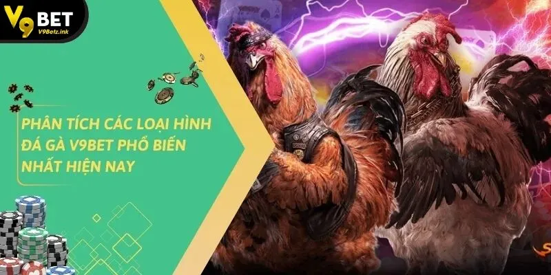 Đá Gà v9bet