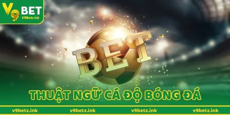 Tổng Hợp Thuật Ngữ Cá Độ Bóng Đá Trước Khi Tham Gia Cược